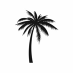 palm tree