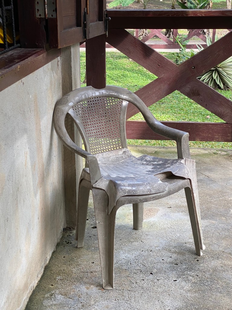 calcified chair