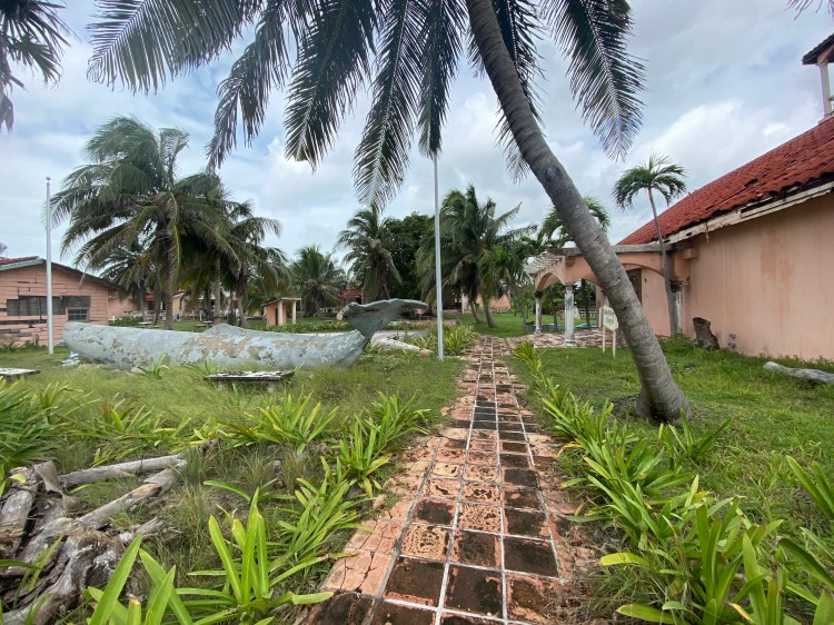 Essene Way Belize
