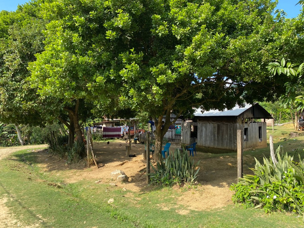 Scene in Arenal Village, Belize